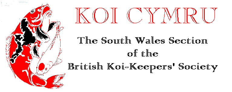 http://www.bogus.net/koi/home.html